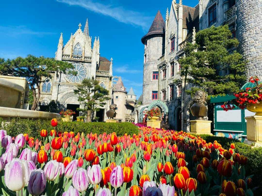 Lễ hội hoa tulip bà nà đà nẵng