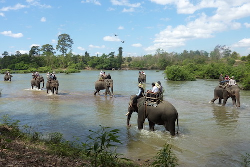 cưỡi voi vượt sông Serepok