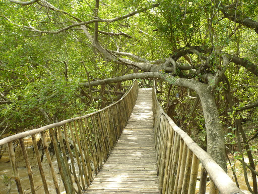 Cầu Treo Dak lak